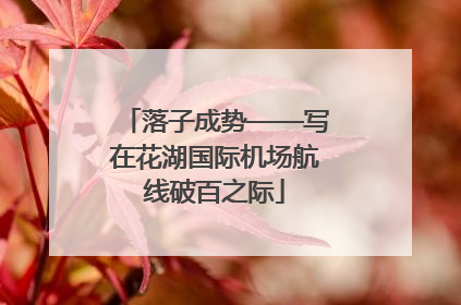 落子成势——写在花湖国际机场航线破百之际