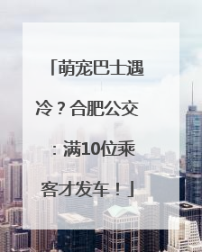 萌宠巴士遇冷？合肥公交：满10位乘客才发车！
