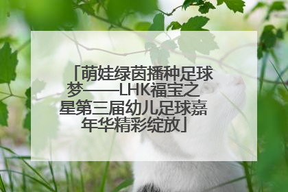 萌娃绿茵播种足球梦——LHK福宝之星第三届幼儿足球嘉年华精彩绽放