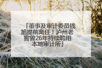 董事及审计委员钱旭提前离任！泸州老窖曾26年持续聘用本地审计所