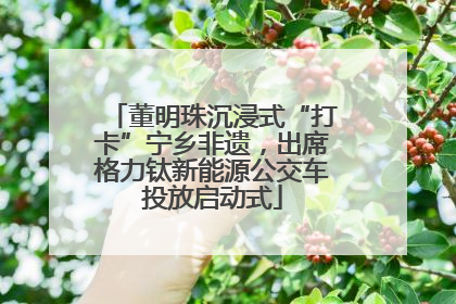 董明珠沉浸式“打卡”宁乡非遗，出席格力钛新能源公交车投放启动式