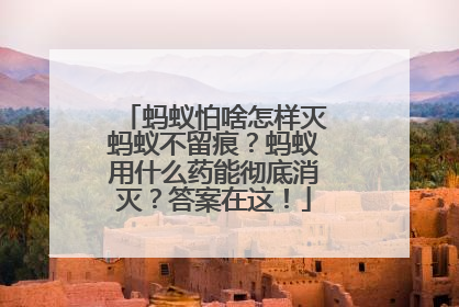 蚂蚁怕啥怎样灭蚂蚁不留痕？蚂蚁用什么药能彻底消灭？答案在这！