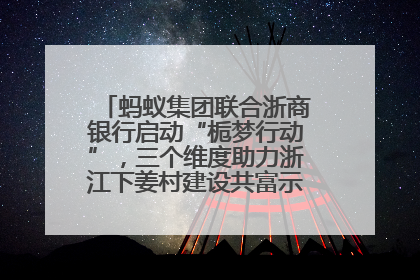蚂蚁集团联合浙商银行启动“栀梦行动”，三个维度助力浙江下姜村建设共富示范区示范点