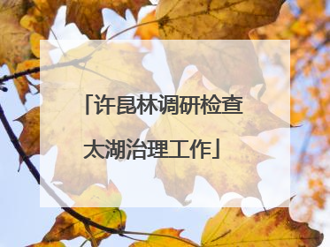 许昆林调研检查太湖治理工作