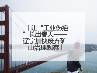 让“工业伤疤”长出春天——辽宁加快废弃矿山治理观察