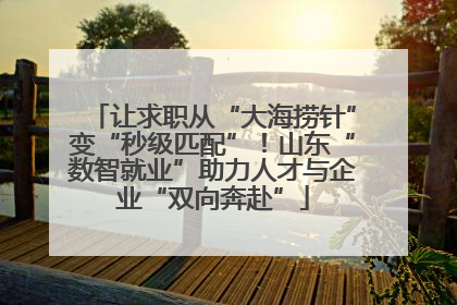 让求职从“大海捞针”变“秒级匹配”！山东“数智就业”助力人才与企业“双向奔赴”