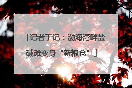记者手记：渤海湾畔盐碱滩变身“新粮仓”