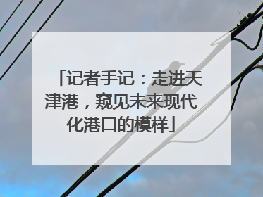 记者手记：走进天津港，窥见未来现代化港口的模样