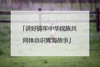 讲好铸牢中华民族共同体意识青海故事