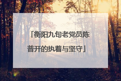 衡阳九旬老党员陈普开的执着与坚守