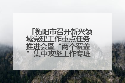 衡阳市召开新兴领域党建工作重点任务推进会暨“两个覆盖”集中攻坚工作专班 第一次会议
