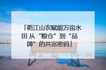 衢江山农赋能万亩水田 从“粮仓”到“品牌”的共富密码