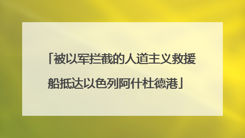 被以军拦截的人道主义救援船抵达以色列阿什杜德港
