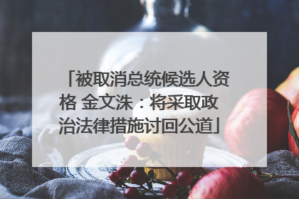 被取消总统候选人资格 金文洙：将采取政治法律措施讨回公道