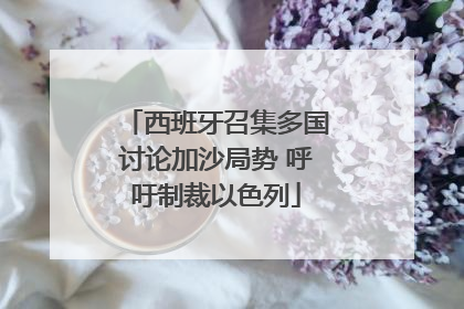 西班牙召集多国讨论加沙局势 呼吁制裁以色列