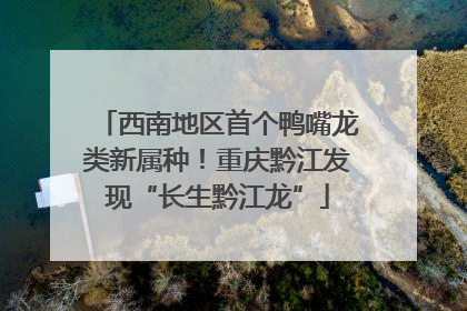 西南地区首个鸭嘴龙类新属种！重庆黔江发现“长生黔江龙”