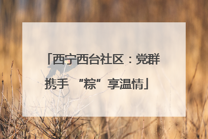 西宁西台社区：党群携手 “粽”享温情