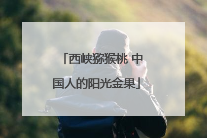 西峡猕猴桃 中国人的阳光金果