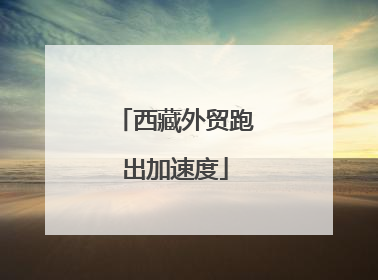 西藏外贸跑出加速度