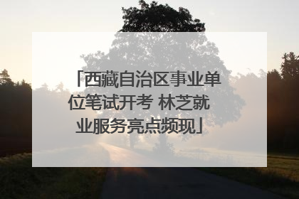 西藏自治区事业单位笔试开考 林芝就业服务亮点频现