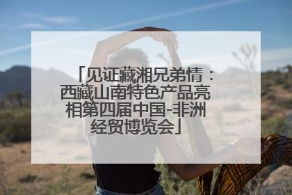见证藏湘兄弟情：西藏山南特色产品亮相第四届中国-非洲经贸博览会