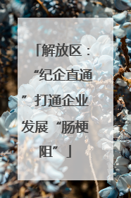解放区：“纪企直通”打通企业发展“肠梗阻”