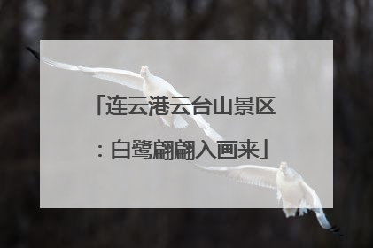 连云港云台山景区：白鹭翩翩入画来