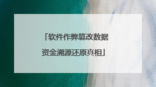 软件作弊篡改数据 资金溯源还原真相