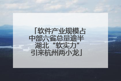 软件产业规模占中部六省总量逾半 湖北“软实力”引来杭州两小龙