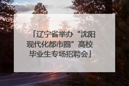 辽宁省举办“沈阳现代化都市圈”高校毕业生专场招聘会