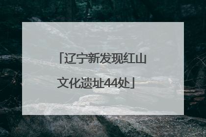 辽宁新发现红山文化遗址44处