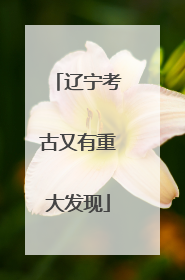 辽宁考古又有重大发现
