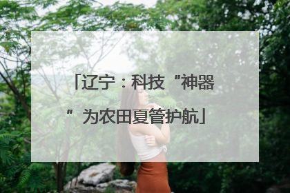 辽宁：科技“神器”为农田夏管护航