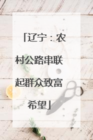 辽宁：农村公路串联起群众致富希望