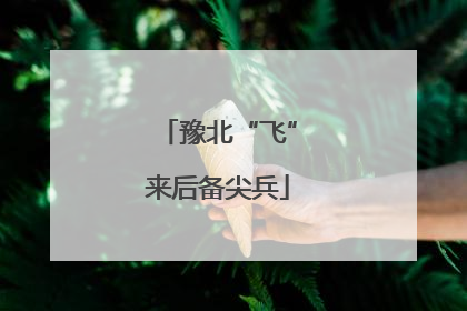 豫北“飞”来后备尖兵