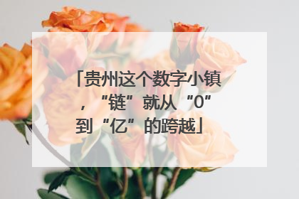 贵州这个数字小镇，“链”就从“0”到“亿”的跨越