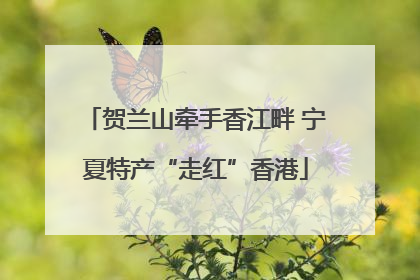 贺兰山牵手香江畔 宁夏特产“走红”香港