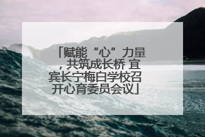 赋能“心”力量，共筑成长桥 宜宾长宁梅白学校召开心育委员会议