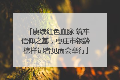 赓续红色血脉 筑牢信仰之基，枣庄市银龄榜样记者见面会举行