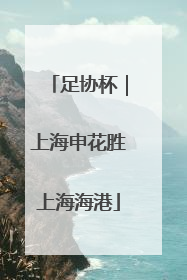 足协杯｜上海申花胜上海海港