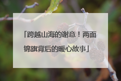 跨越山海的谢意！两面锦旗背后的暖心故事
