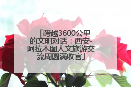 跨越3600公里的文明对话：西安-阿拉木图人文旅游交流周圆满收官