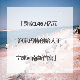 身家1467亿元！泡泡玛特创始人王宁成河南新首富