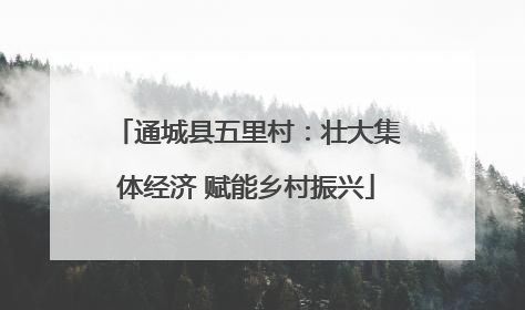 通城县五里村：壮大集体经济 赋能乡村振兴