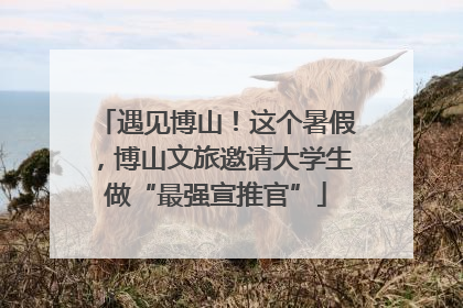 遇见博山！这个暑假，博山文旅邀请大学生做“最强宣推官”