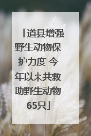 道县增强野生动物保护力度 今年以来共救助野生动物65只