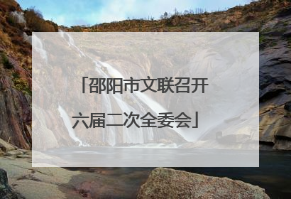 邵阳市文联召开六届二次全委会