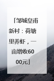 邹城皇甫新村：荷塘里养虾，一亩增收6000元