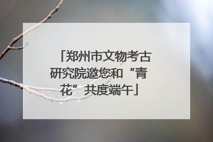 郑州市文物考古研究院邀您和“青花”共度端午