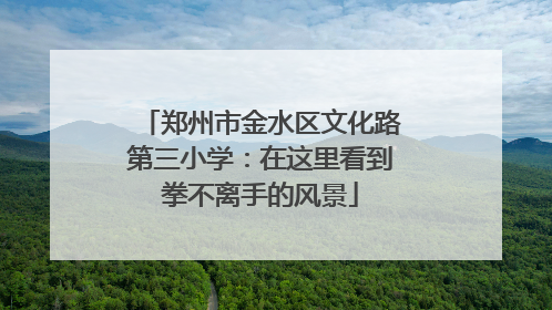 郑州市金水区文化路第三小学：在这里看到拳不离手的风景